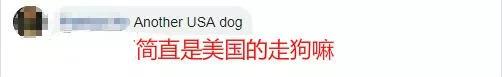 ⭐靠谱的
推特广告号
去哪找包赔的渠道
